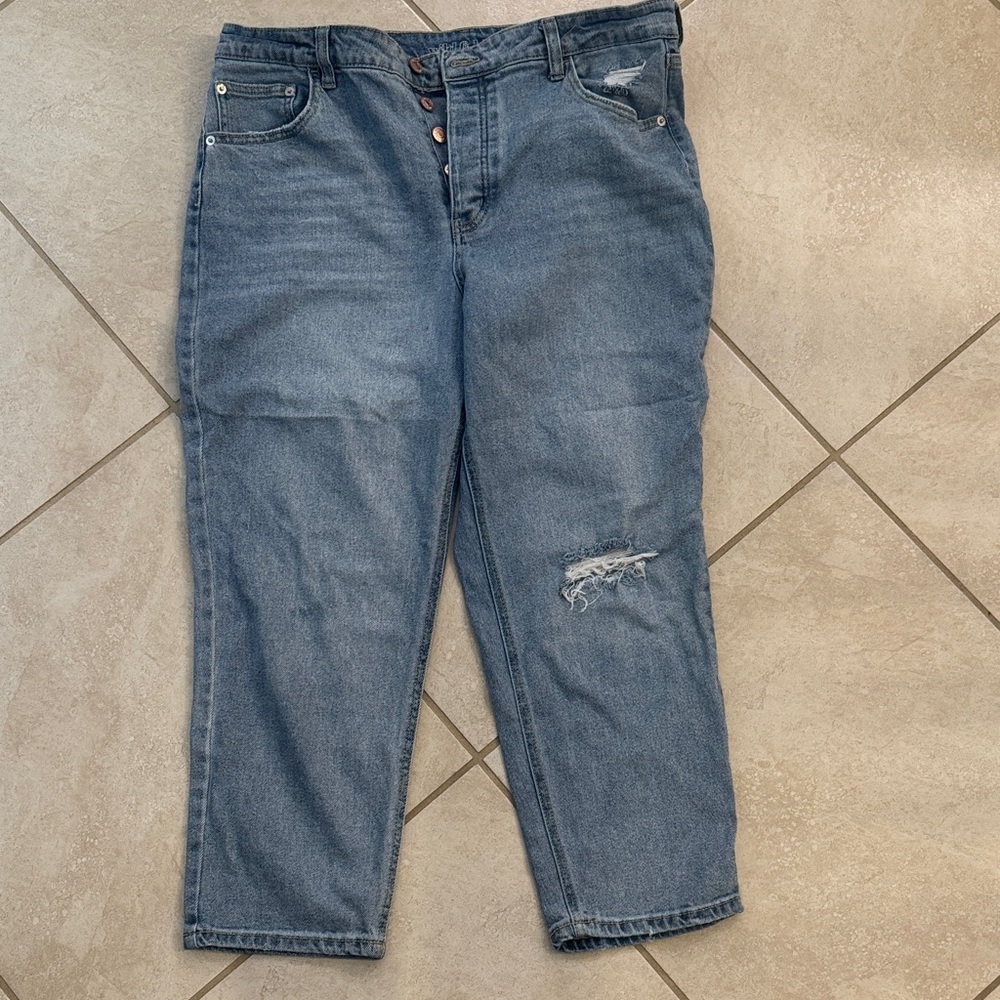 wild fable Blue Distressed Mid-Rise Button-Fly Jeans